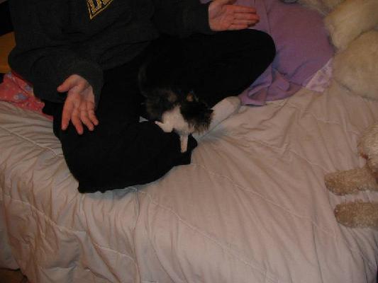 Riley and Abby Dec 2004 003.jpg